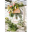Support pour plante Azure-473957987