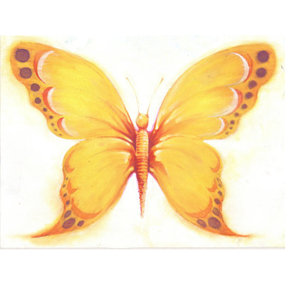 Papillon - reproduction sur toile tendue