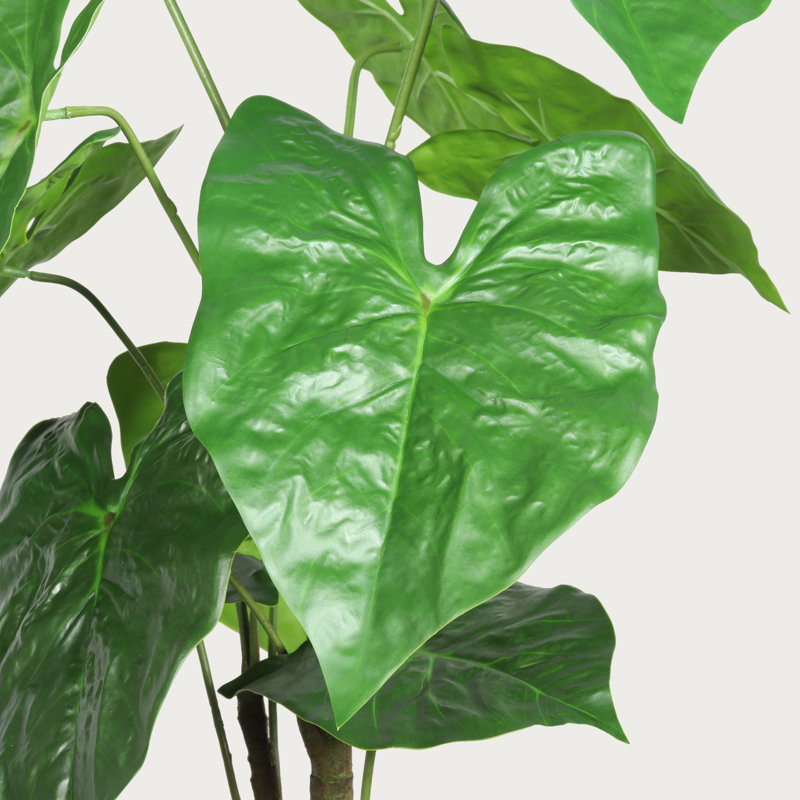Ensemble de 2 plantes artificielles Alocasia avec jardinières blanches