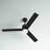 Newsom 52" 3-Blade LED Ceiling Fan with Light Kit and Remote Control