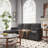 Carmyn 2 - Upholstered Sleeper Sofa-1762624717