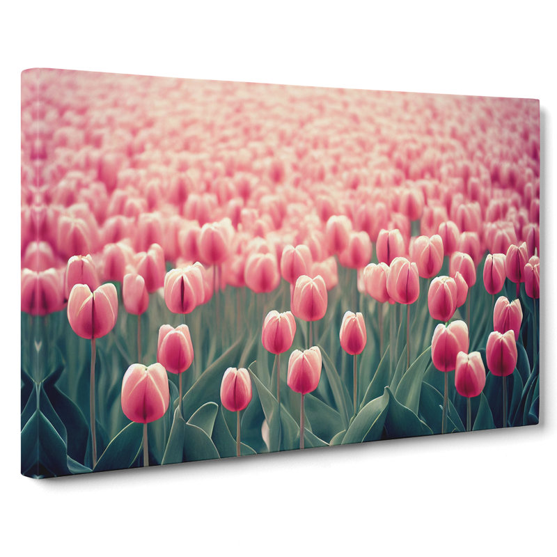 Brilliant Tulip Flowers - Wrapped Canvas, 50cm H x 76cm W x 3cm D