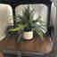 Photos des clients 1 de 1