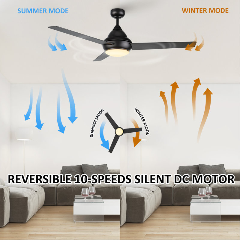 Ventilateur de plafond standard à 52 pales 52 po avec télécommande et ensemble d'éclairage Kylier, Noir