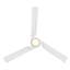 Ventilateur de plafond intelligent à 3 pales intérieur / extérieur Chill avec lumière DEL à intensité variable intégrée et télécommande Bluetooth incluse, température de couleur sélectionnable (2700K, 3000K, 3500K, 4000K)-123804470