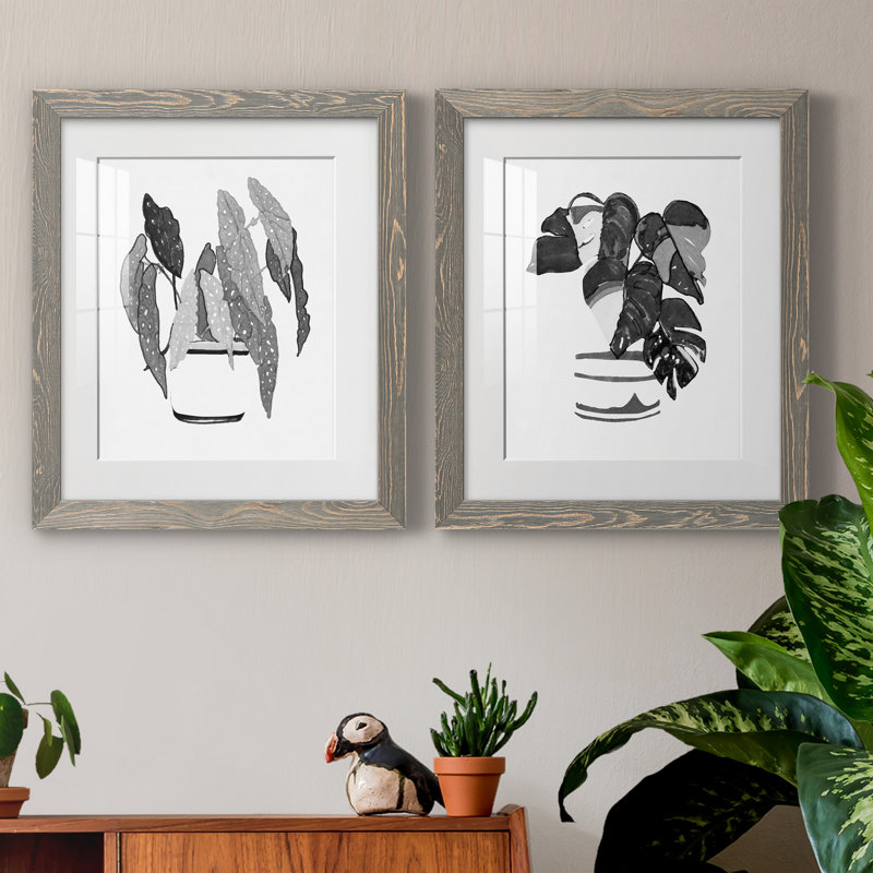 B and W d'intérieur plante V - ensemble de 2 reproductions d'art, H 20 po x l 17 po x P 1 po, Cadre en papier gris, Blanc