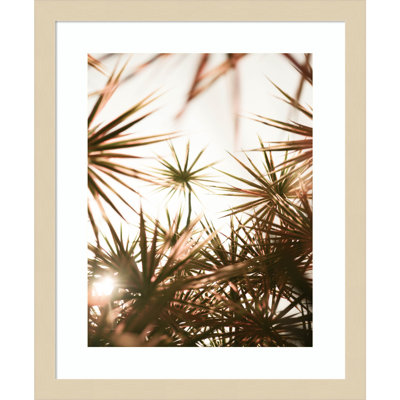 Starlight Through Palms by Daisey Wood Framed Wall Art Print