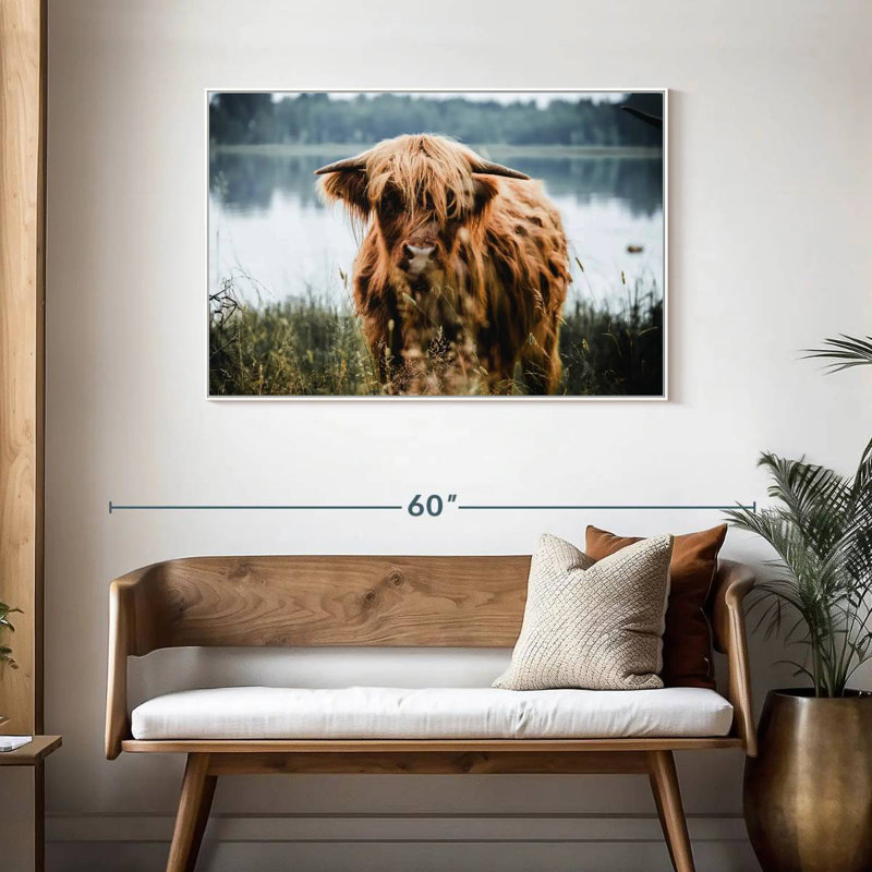 Vache Lakeside Highland, Cadre flottant blanc, 43 po x 29 po