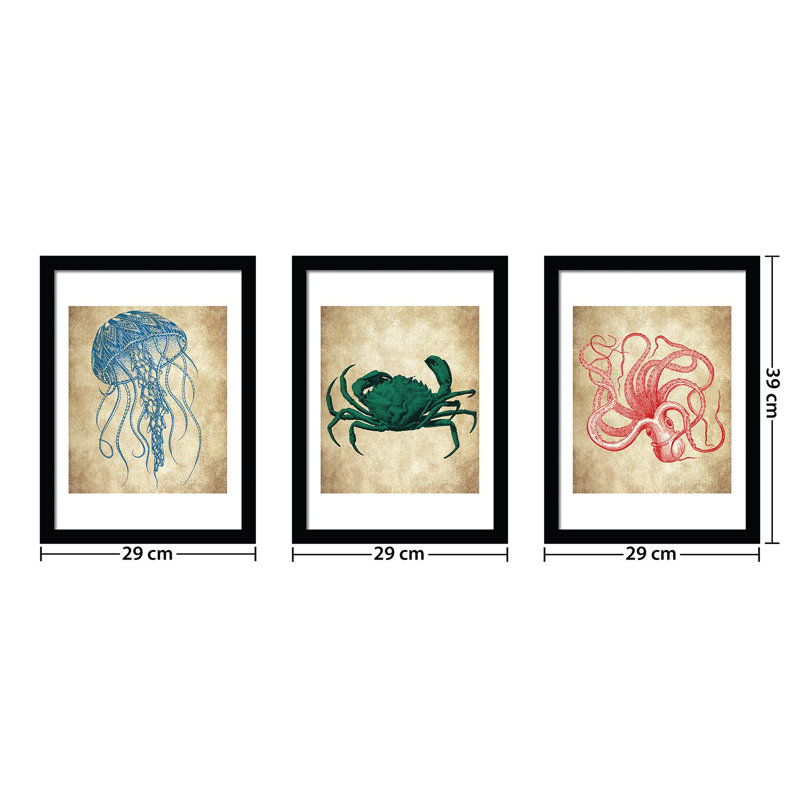 'Sea Life'  Wall Art Framed Art Print Set - 3 Pcs