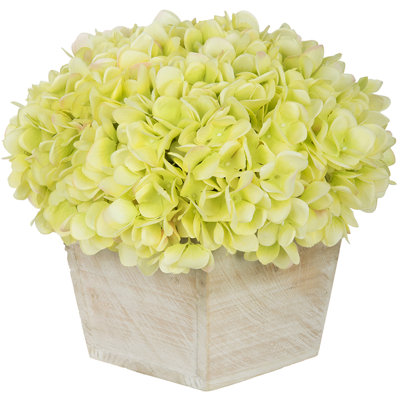 Hydrangea Arrangement in Planter