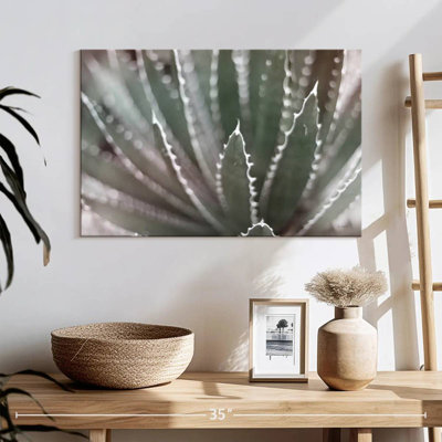 Harnek Dream Desert I BWC