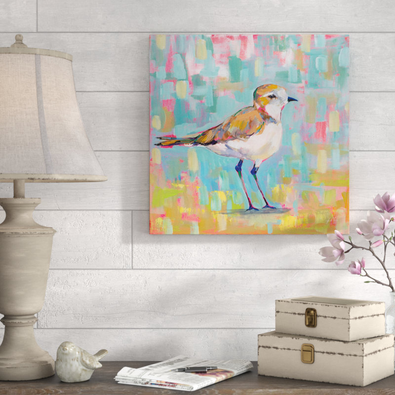 Coastal Plover III by Jeanette Vertentes - Wrapped Canvas Painting, 51cm H x 51cm W