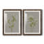 White Field Flowers III - ensemble de 2 cadres photo-93007811-93007812