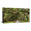 Live Oak Tunnel - Imprimé-1604748974-1597033605