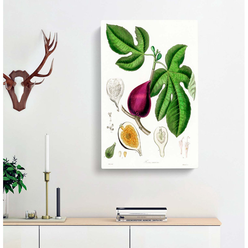 Fig Tree Illustration - Wrapped Canvas, 91cm H x 60cm W x 3cm D