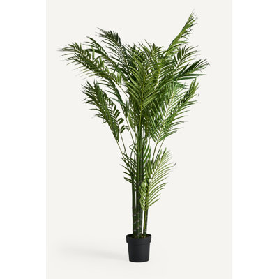Palmera Faux Plant