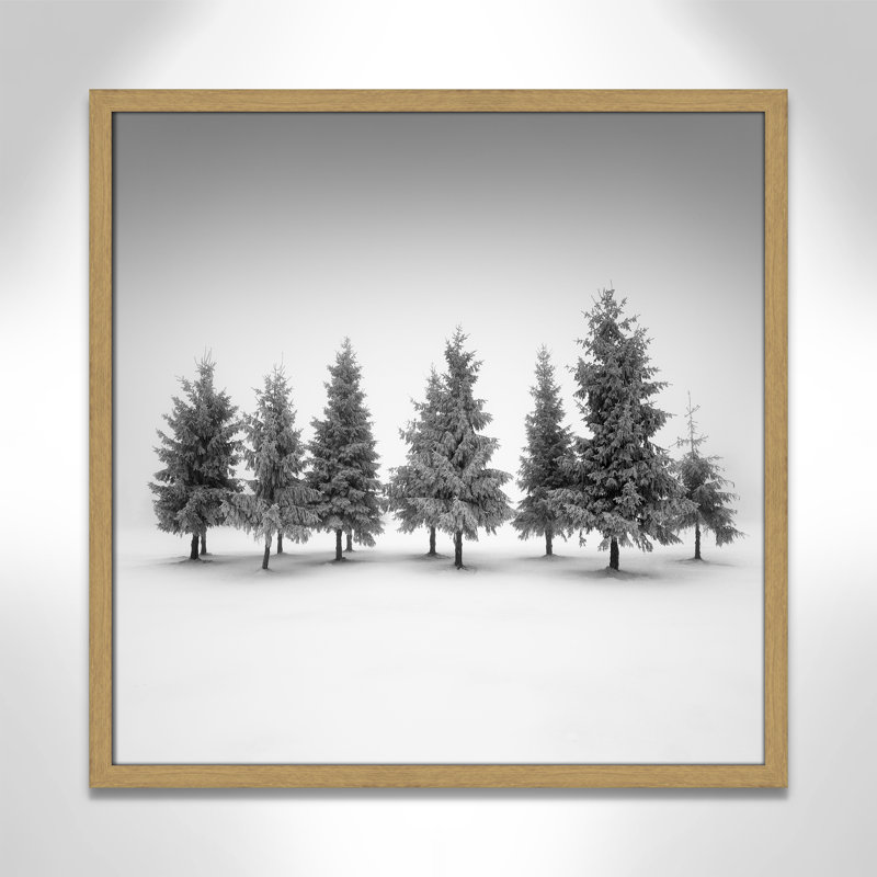 Impression d'épinette par Daniel, Grain de bois naturel, L 23,5 po x H 23,5 po, Impression encadrée
