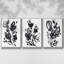 Cameo Bloom I 3 pièces-97758030-97758033