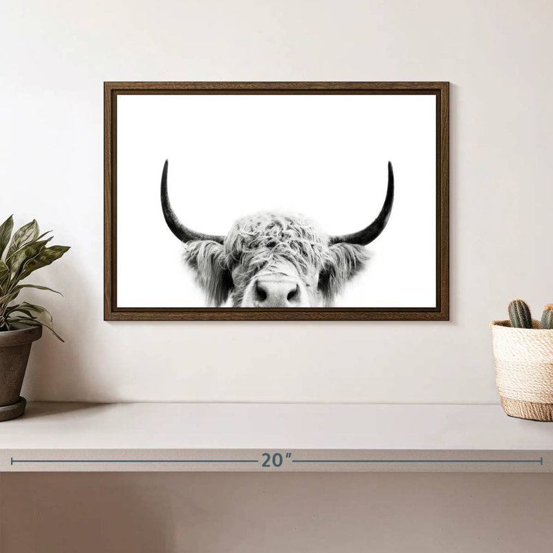 Peeking Cow BW, 13 po x 9 po, Cadre flottant noyer