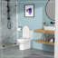 Ceramic One Piece Toilet,Single Flush With Soft Clsoing Seat