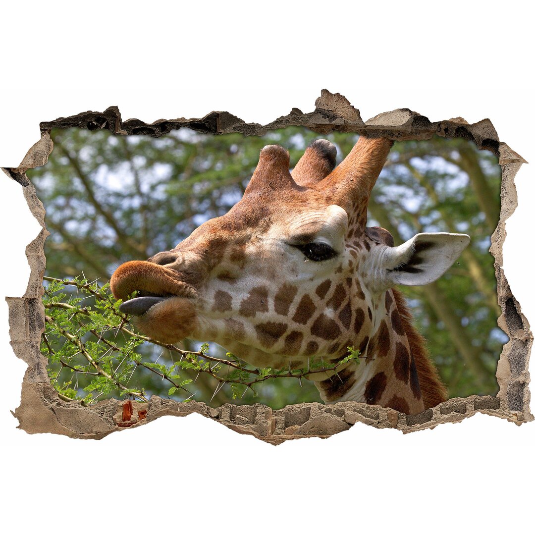 Anmutige Giraffe isst Wandaufkleber