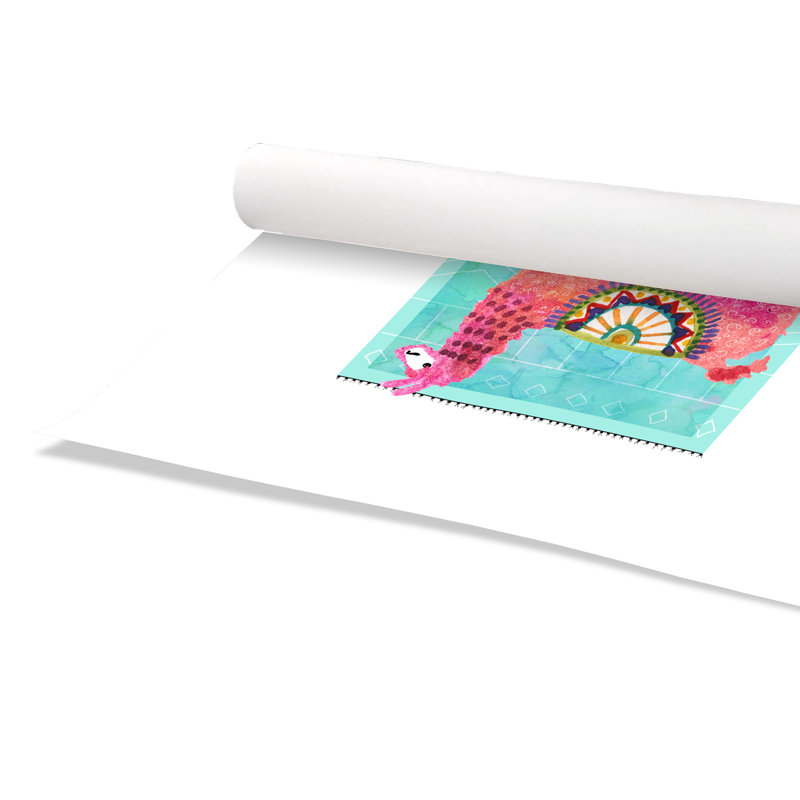 Impression sur papier roulé «Lovely Llama III», H 16 po x l 12 po x P 1 po