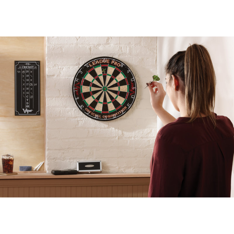 Viper Bristle Dartboard with Darts