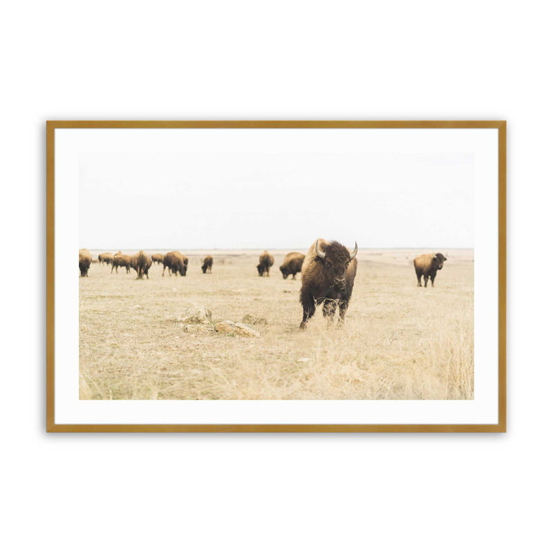 Motif de plaines sauvages, H 13,25 po x l 17,25 po x P 1,25 po, Cadre doré poli