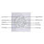 Ventilateurs de plafond en aluminium 66 pouces avec lumières et télécommande