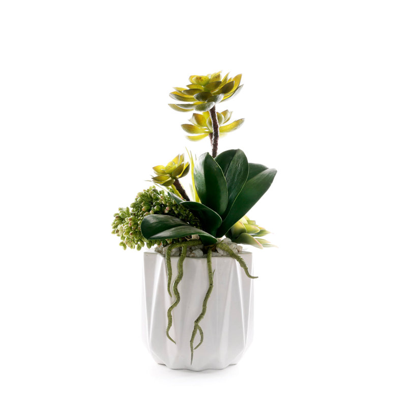 Faux Succulent Plant in Ceramic Planter