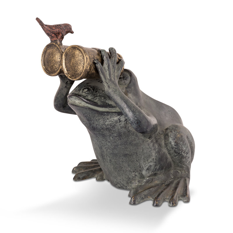 Frog Spectator With Bird Garden