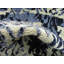Ade Indoor Rug-22567623