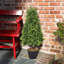Artificial cone topiary-1940508203