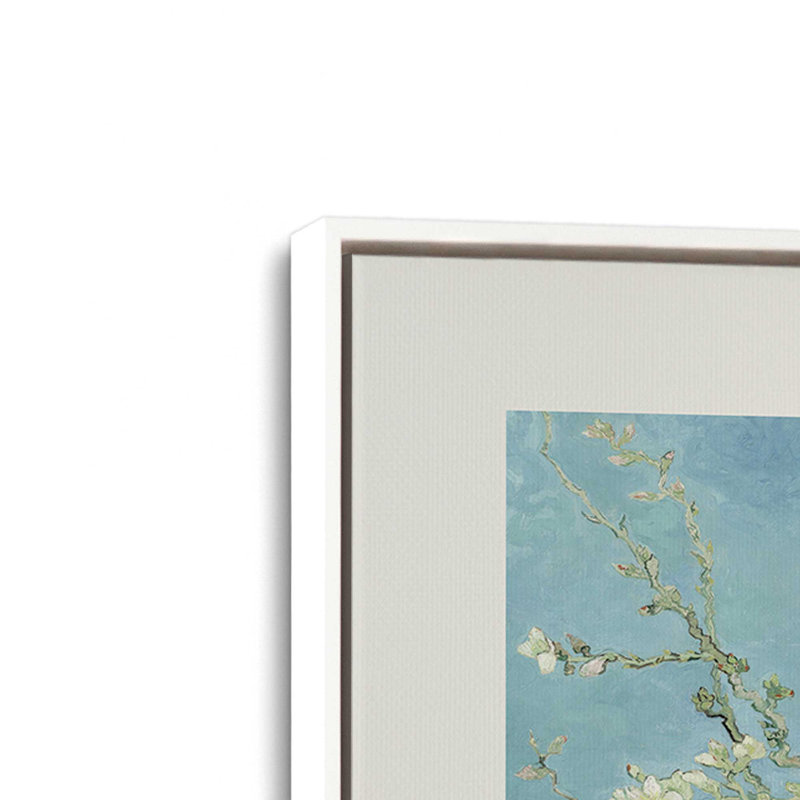 Van Gogh's Ammond Blossom v2, H 20,75 po x l 30,75 po, Cadre flottant blanc opaque