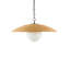 1 - Light Pendant