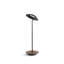Royyo LED Desk Table Lamp-1394846834