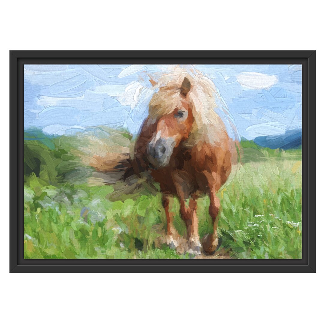 Gerahmtes Wandbild Shetlandpony auf der Wiese Kunst