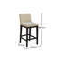 Counter Stool with Solid Wood Frame-909238976