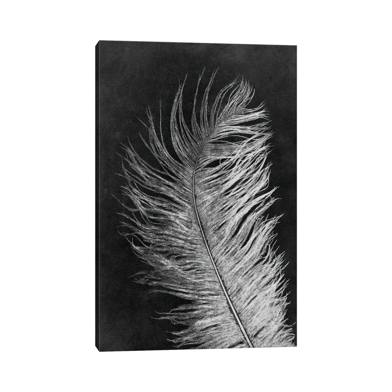 Feather III Dark - Wall Art Print