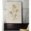 « pressed columbine i », reproduction de peinture à l’huile sur toile tendue-26229460
