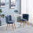 Defreitas Dining Chair with Iron Legs and Cushions-1577706335