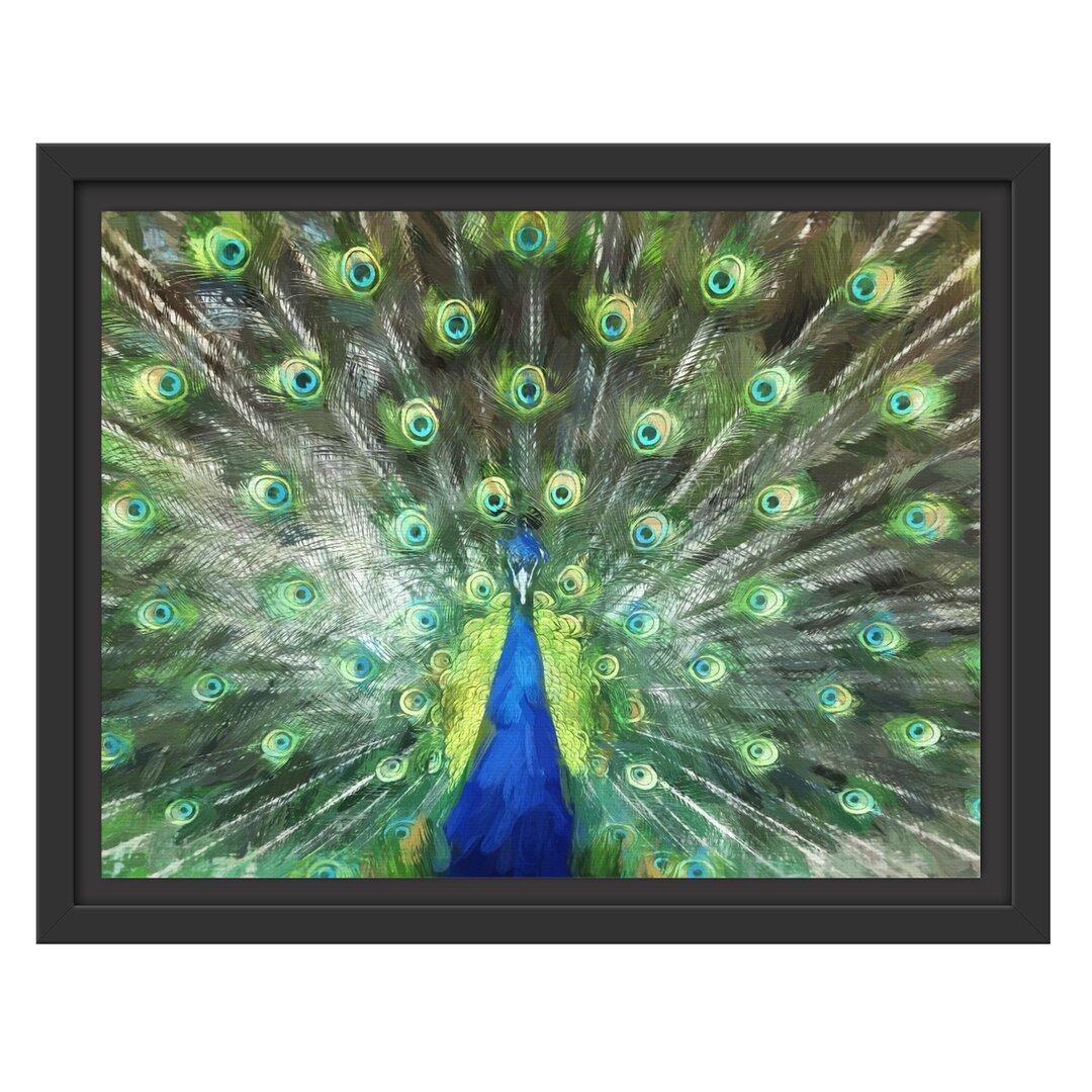 Gerahmtes Wandbild Pfau mit seinem Gefieder