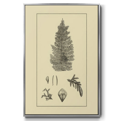 Arbor Study I