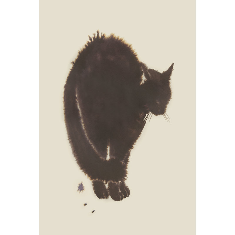Black Cat Dream I by Grace Popp - Wrapped Canvas Print, 46 cm H x 30 cm W