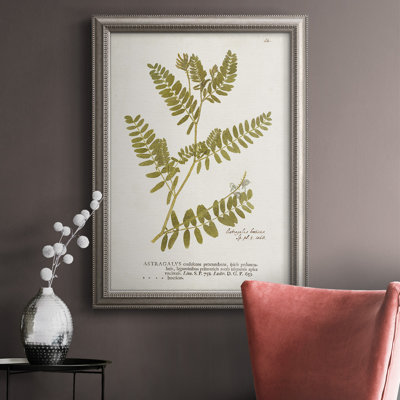 Nature Ferns V - reproduction de cadre photo sur toile