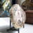 Daleb Crystal