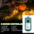 Outdoor 516'' Plug-in Mini String Light