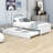 Comyns Twin Platform Bed with Trundle-1593271445