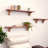 Solid Wood Floating Wall Shelf-1507595505