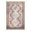 Charlotte Oriental Indoor Rug-551808107